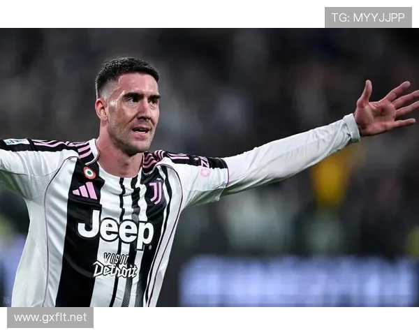 国家队关键战：弗拉霍维奇在国际赛场的表现