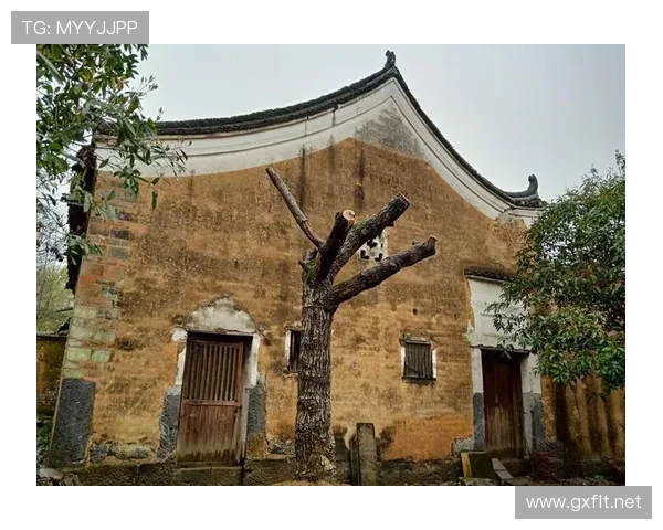 戴资颖赛场外的生活照，豪宅花园比明星还阔气，这到底啥背景？